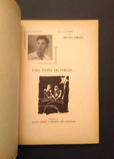 Michael Ehrlich - Uma fatia de poesia ...