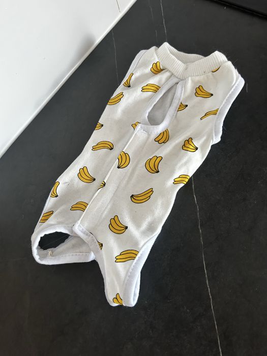 Ubranko dla kotki po sterylizacji