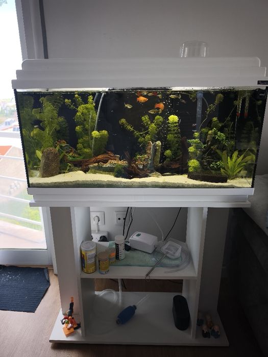 Aquário Completo [ 80L] + Móvel + Acessórios