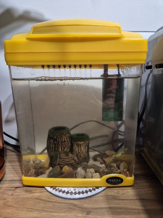 Akwarium Hailea 7 l