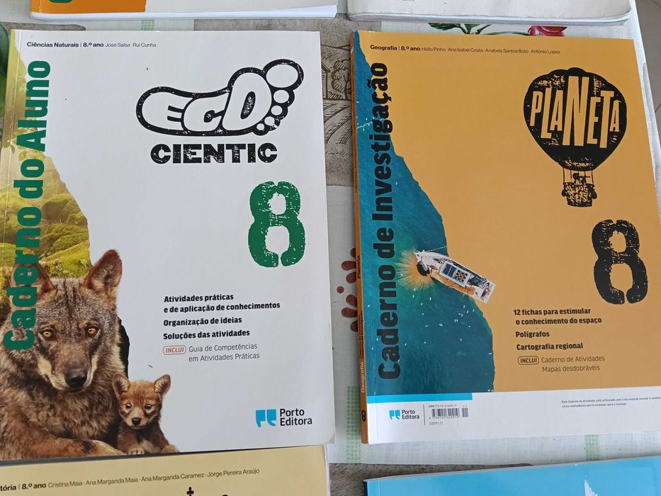 Livros de fichas 8 Ano