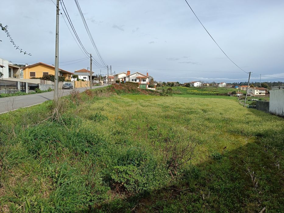 Terreno em Fornos, Sta Maria Feira c/ 80 metros de frente