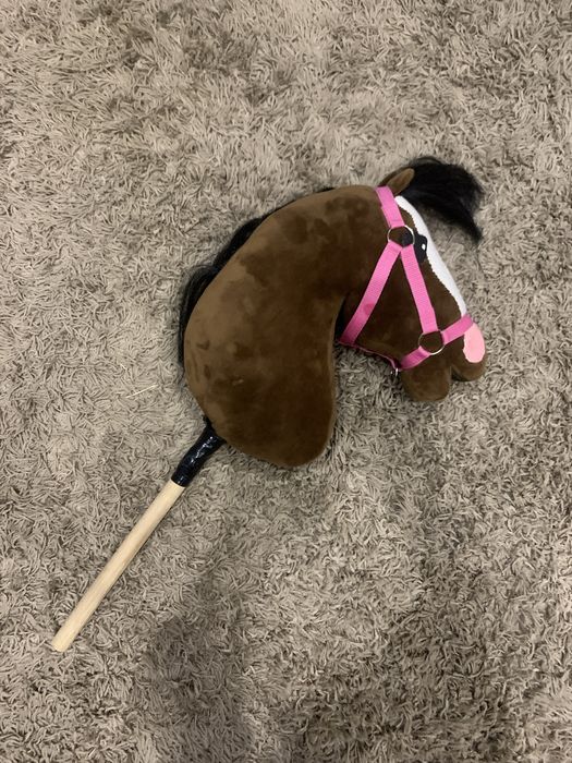 Hobby horse hodowli DRM