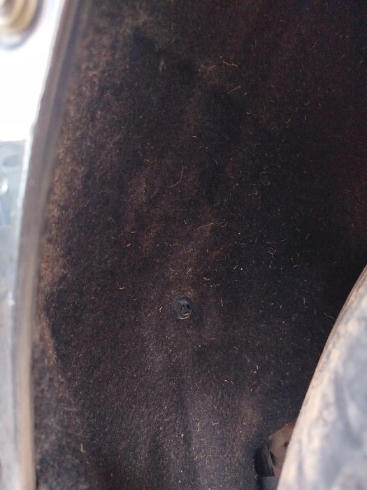 Cava roda trás esquerda NISSAN Qashqai II (J11)