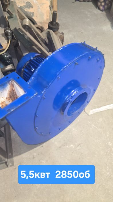 Вентилятор на сушку гарбузового насіння