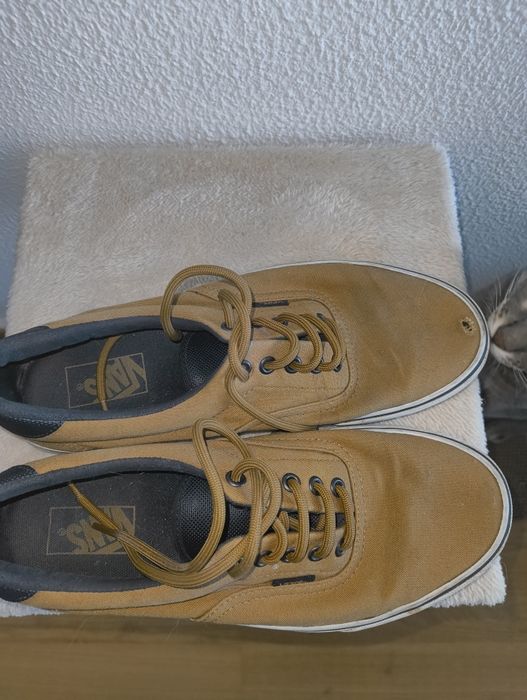 Tenis de marca - Vários