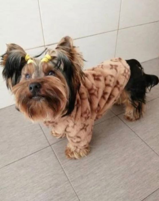 Шубка для животных