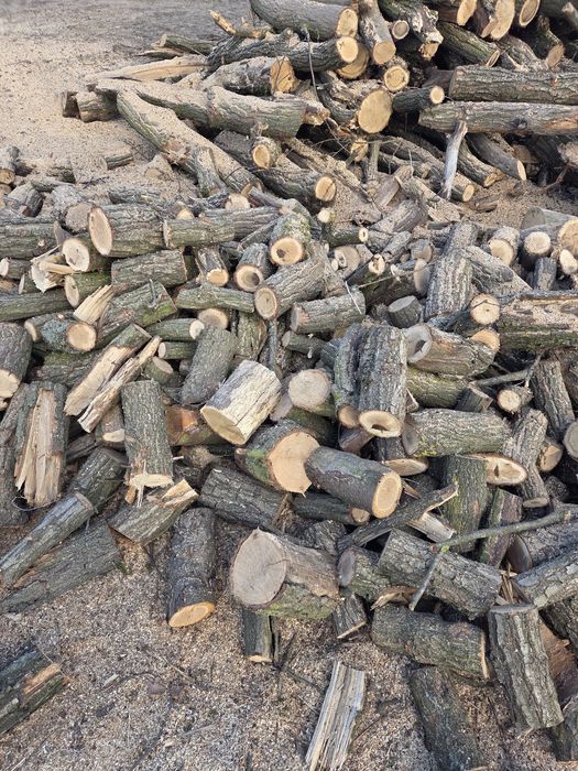 TANIE Drewno Opałowe i kominkowe