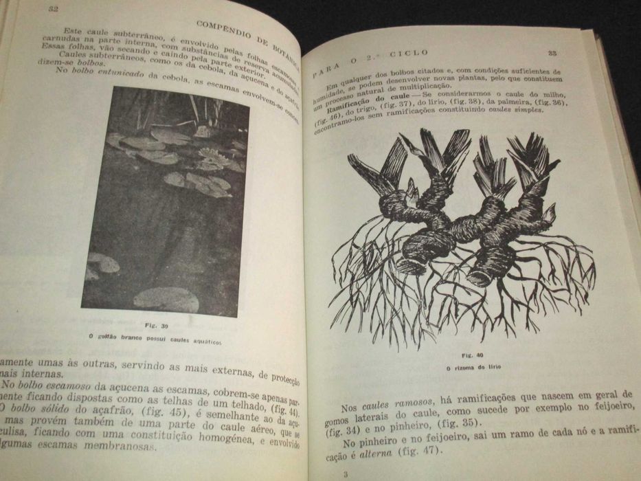 Livro Botânica Ensino Liceal Oliveira Maia