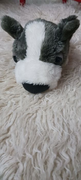 Kolekcjonerskie pluszaki, tccglobal.