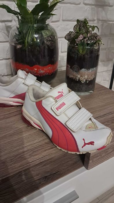 Puma adidasy r. 31