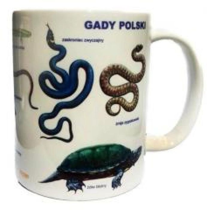 Kubek - Gady SOLITON oprawa: pudełko
