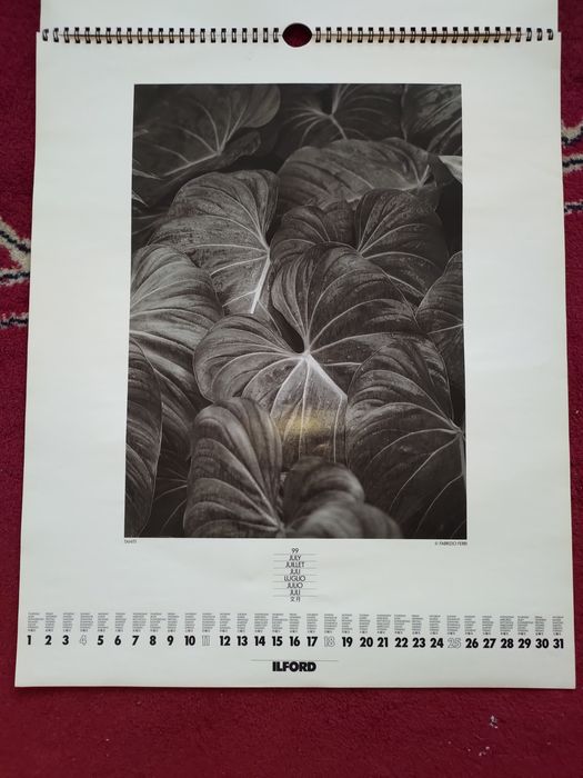Calendário de parede Ilford 1999