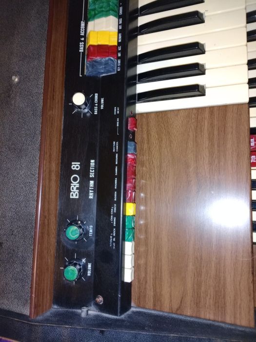 Vendo órgão jen brio 81 com tripé para desocupar urgente