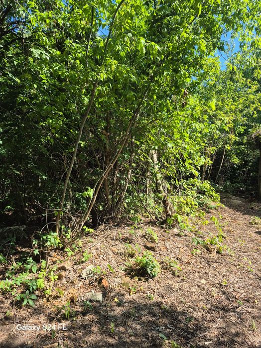 Продам земельну ділянку зі старим будинком