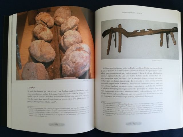 Meimoa de Ontem e de Hoje.