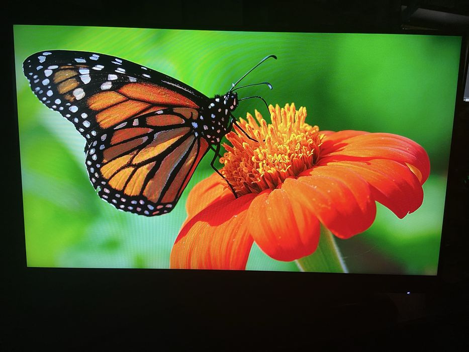 Продам монітор MSI Optix G243 24” 165gz