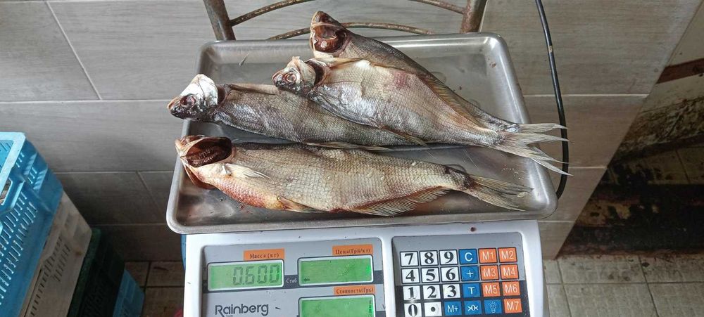 Лящ плотва балик товстолоба густер