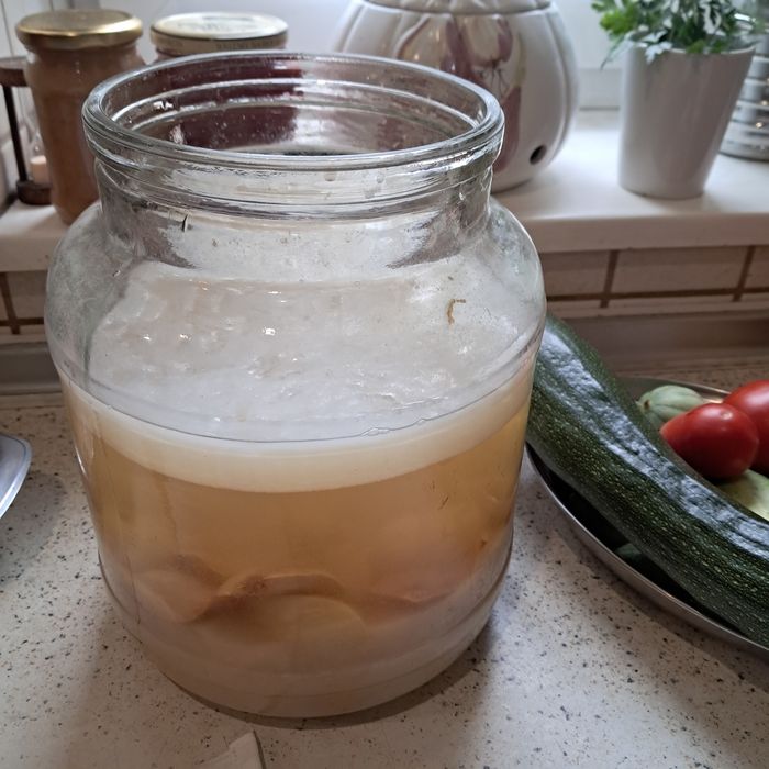 Matka octowa, starter, żywy ocet