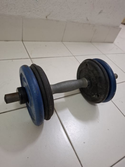 Halter + 4 pesos de 1kg cada