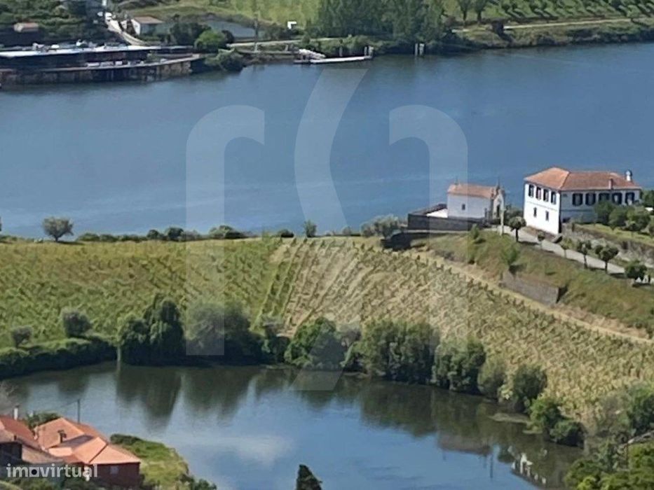 Quinta no Douro | Régua