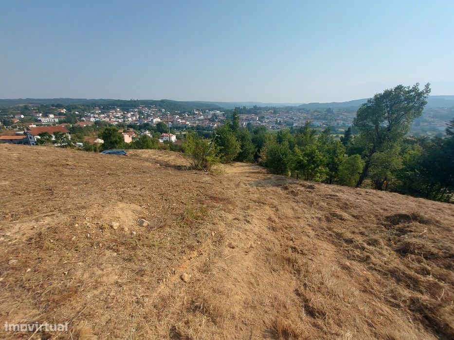 Venda Terreno — Côja E Barril De Alva, Coimbra