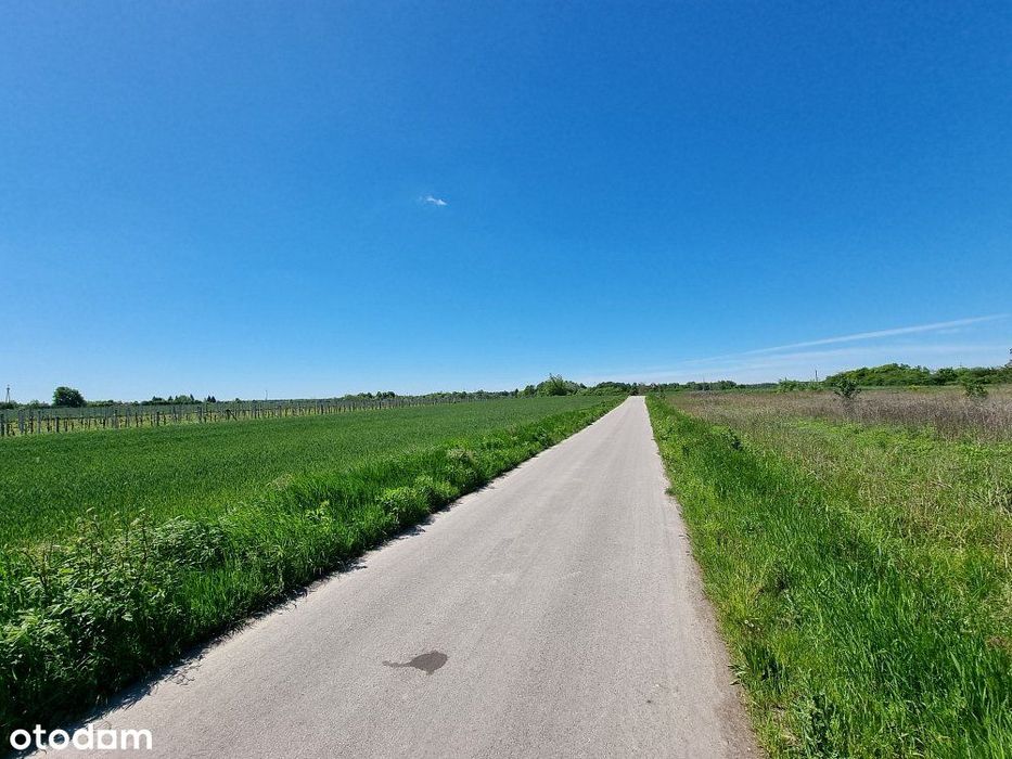 Działka 42 ar | Zagrodowa | Świerże pow. chełmski