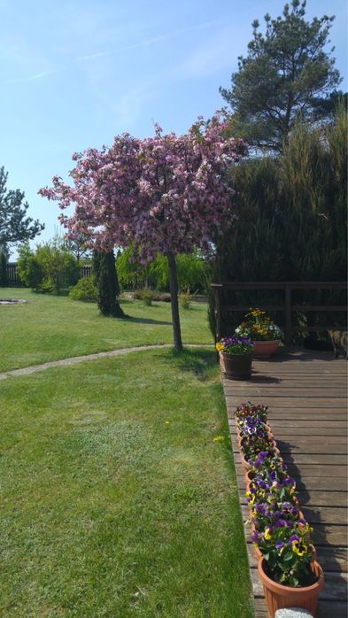 Wyjątkowy dom w sercu Suwalszczyzny – Giby