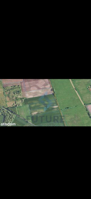 Działka rolna Stare Polichno – 1,39 ha - Widok 4