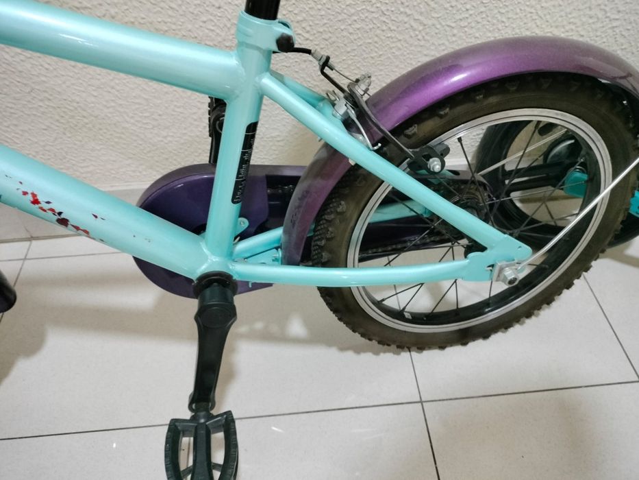 Bicicleta frozen