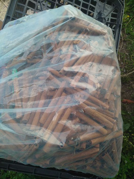 Paus de canela para artesanato