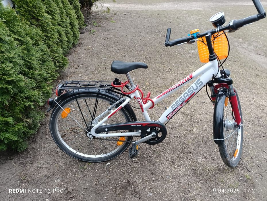Pegasus 24 koła  okazja
