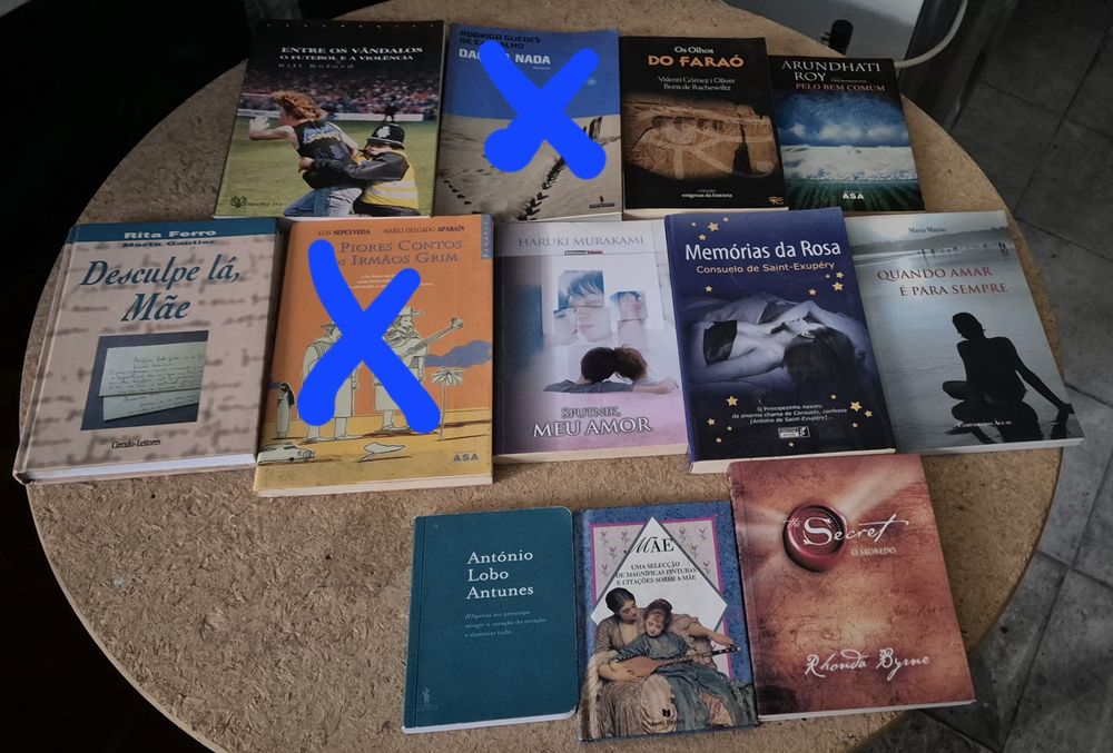 Livros variados - temáticas diversas