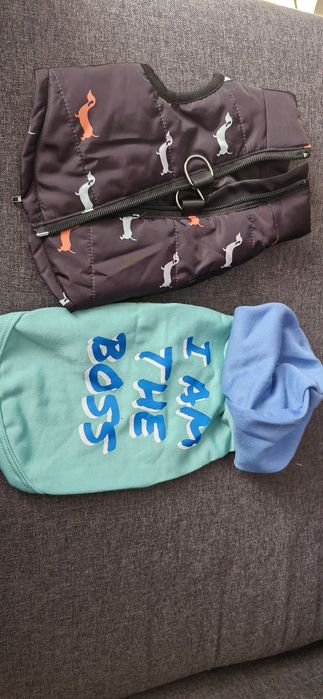 Bluza i kurtka dla psa