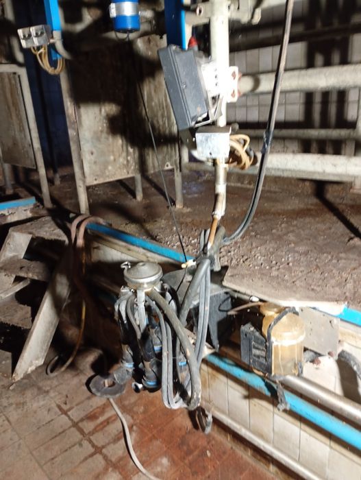 Hala udojowa auto tandem alfa laval 2×2