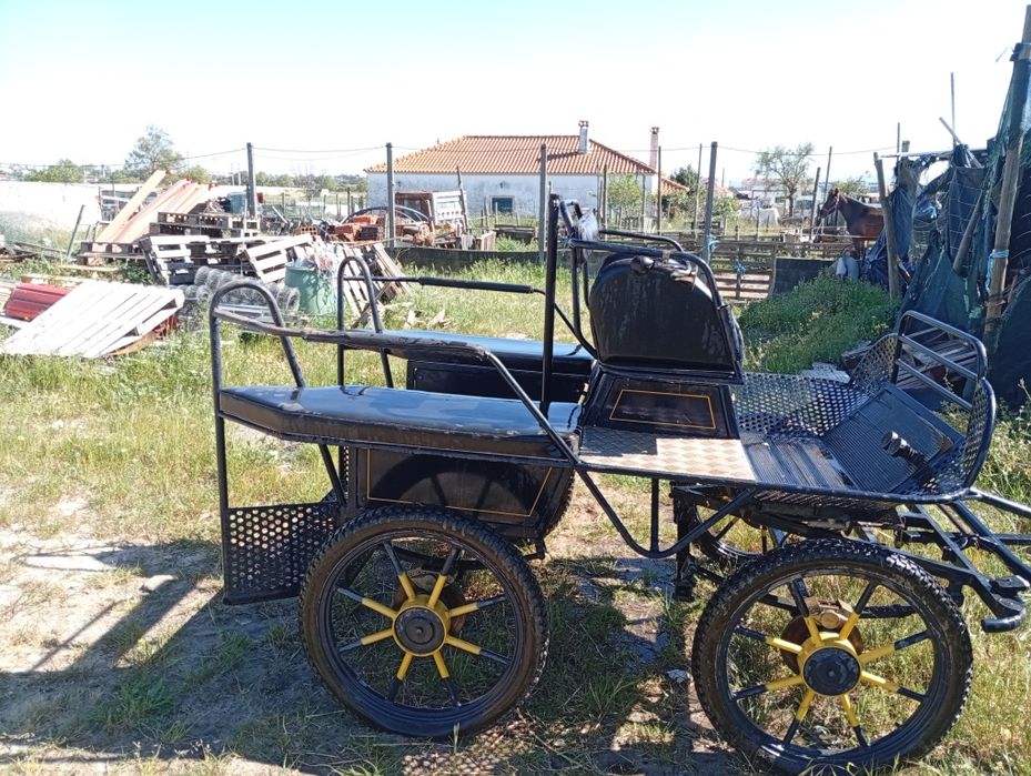 Maratona charrete para cavalo