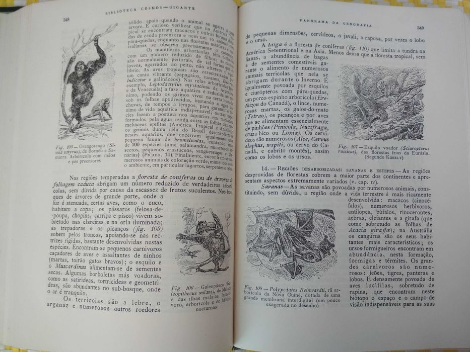 Panorama da Geografia  
Livro II - Geografia Biológica