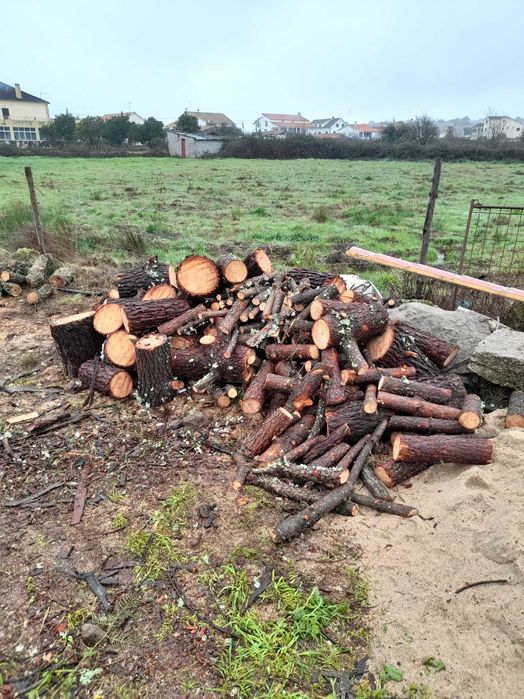 Venda de varias lenhas