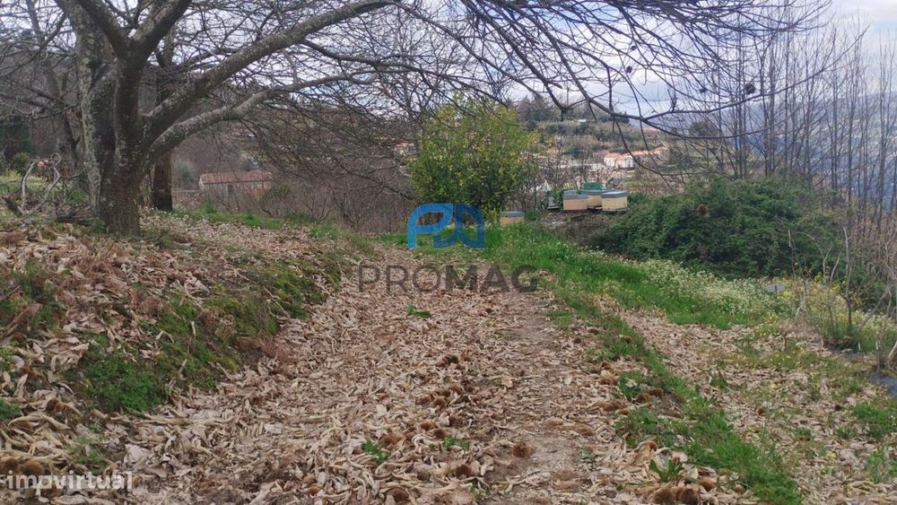 Terreno Urbanizável de 7959 m² com Armazém