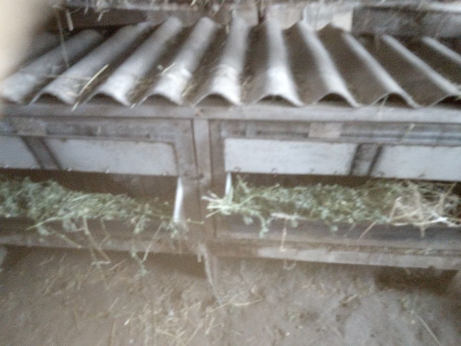 клітки для кролів.