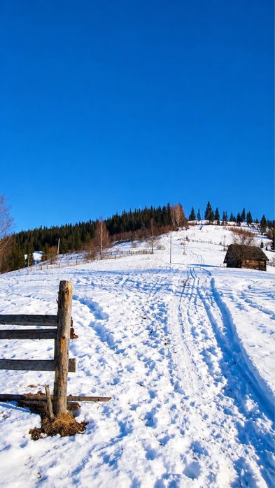 2 гектари в серці Карпат — земля під забудову у Криворівні