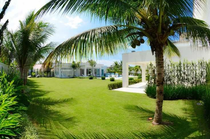 Serviços de limpeza, Housekeeping, jardinagem, piscinas