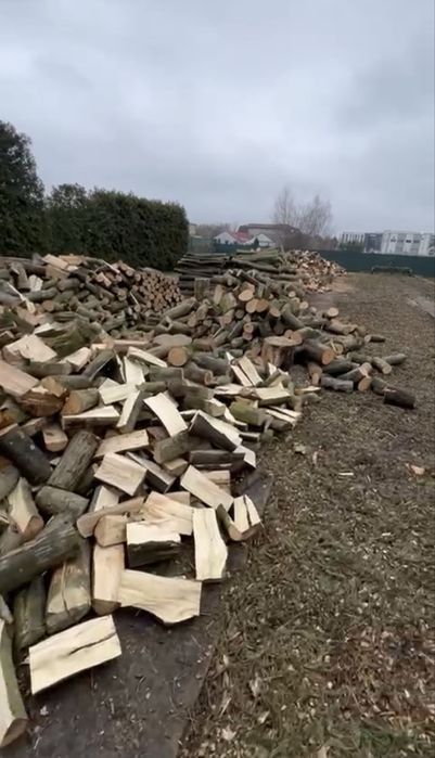 Drewno kominkowe Dąb