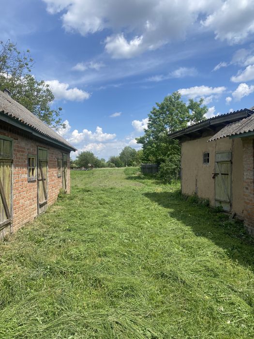 Продаж Стадниця 49 соток