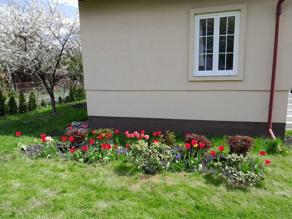 Działka ROD FORMET Bydgoszcz/Lisi Ogon - bez pośredników
