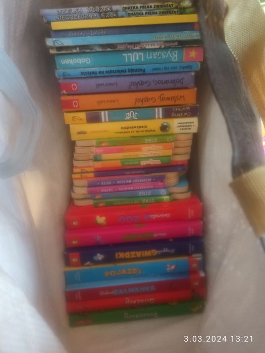 Ogromny zestaw książek dla dziexi