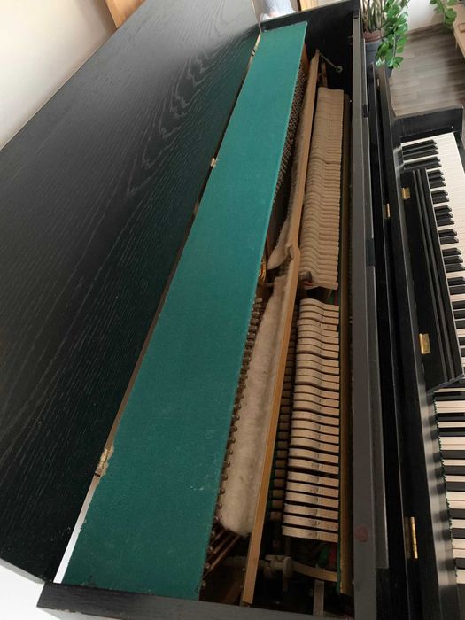 Pianino Calisia!!!
