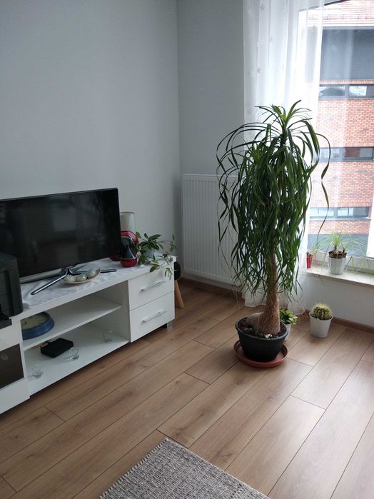 Wynajme mieszkanie 40 m. Na ul Mickiewicza w Pucku