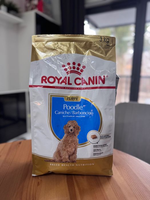 Royal Canin poodle puppy