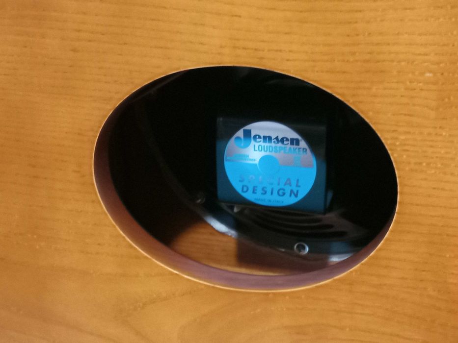 Coluna de guitarra daRibeira O10 com altifalante Jensen P10R AlNiCo